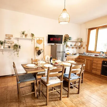 Sabbia & Pinoli - Tirrenia, Pisa Tirrenia